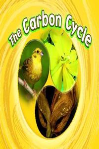 Cycles of Nature Pack A of 4