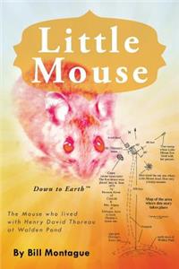 Little Mouse