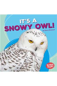 It's a Snowy Owl!