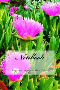 Notebook - Large Size - 100 pages - Nature Collection