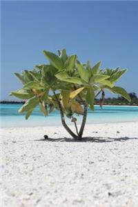 Mind Blowing Maldive Journal