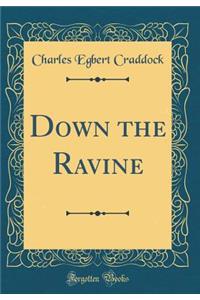 Down the Ravine (Classic Reprint)