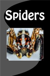 Spiders (Journal / Notebook)