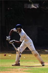 A Cricket Batsman Sports and Recreation Journal