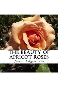 Beauty of Apricot Roses