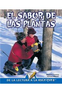 El Sabor de Las Plantas