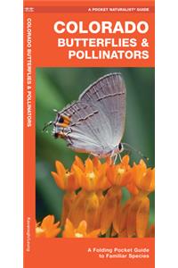Colorado Butterflies & Pollinators