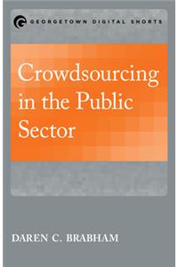 Crowdsourcing in the Public Sector