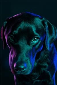 Labrador Retriever Dog Pup Puppy Doggie Notebook Bullet Journal Diary Composition Book Notepad - Night Light