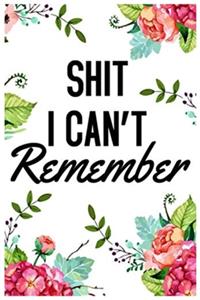 Shit I Can't Remember