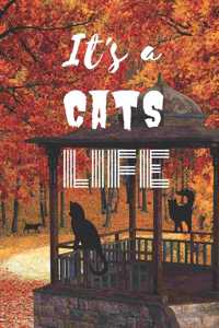 It's a Cats Life