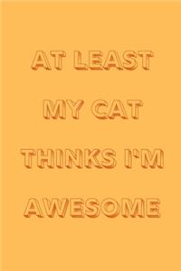 At least my cat thinks I'm awesome