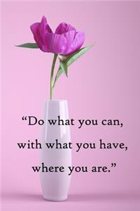 Do what you can, with what you have, where you are