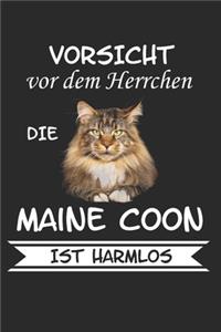 Vorsicht vor dem Herrchen die Maine Coon ist Harmlos