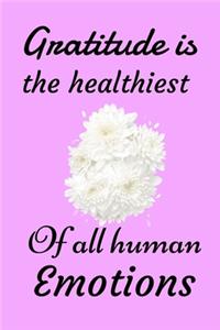 Gratitude Is the Healthiest of All Human Emotions