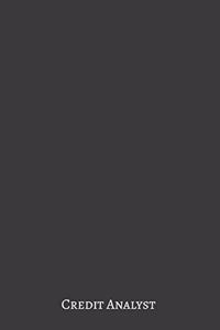 Credit Analyst