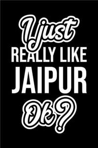 I Just Really Like Jaipur Ok?: Christmas Gift for Jaipur lover - Funny Jaipur Journal - Nice 2019 Christmas Present for Jaipur - 6x9inch 120 pages