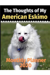 The Thoughts of My American Eskimo