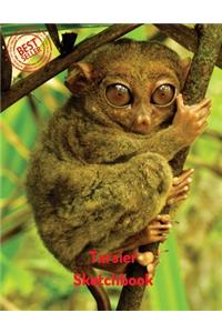 Tarsier Sketchbook