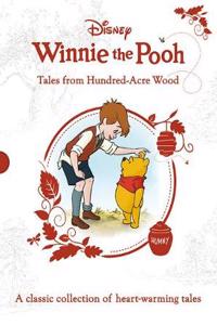 Disney Winnie the Pooh: Tales from Hundred-Acre Wood