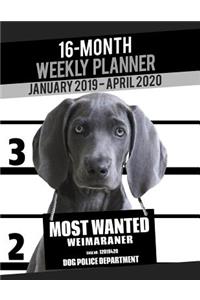 2019-2020 Weekly Planner - Most Wanted Weimaraner