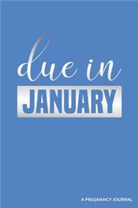 Due in January a Pregnancy Journal