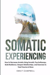 Somatic Experiencing