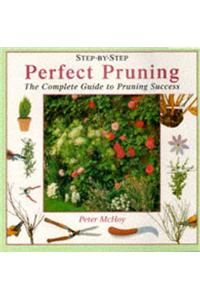 Perfect Pruning (Step-by-Step)