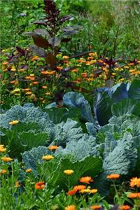 White Cabbage in the Garden Journal