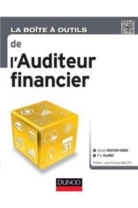 La Boite a Outils de L'Auditeur Financier