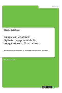Energiewirtschaftliche Optimierungspotenziale für energieintensive Unternehmen