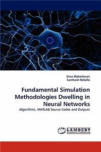 Fundamental Simulation Methodologies Dwelling in Neural Networks