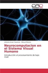 Neurocomputacion en el Sistema Visual Humano