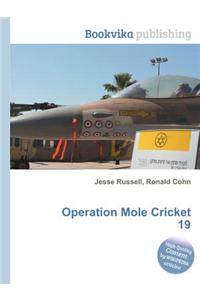 Operation Mole Cricket 19