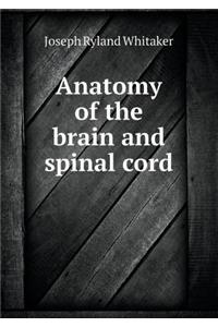 Anatomy of the Brain and Spinal Cord