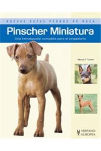 Pinscher miniatura / Miniature Pinscher