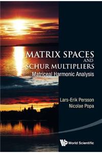 Matrix Spaces and Schur Multipliers