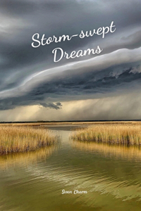 Storm-swept Dreams