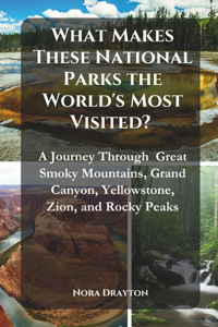 What Makes These National Parks the World's Most Visited?