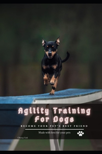 Agility Training For Dogs