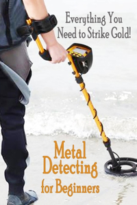 Metal Detecting for Beginners