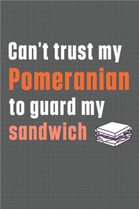 Can't trust my Pomeranian to guard my sandwich