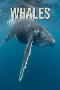 Whales: Incredible Pictures and Fun Facts about Whales