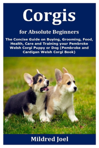 Corgis for Absolute Beginners