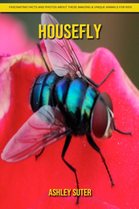 Housefly