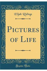 Pictures of Life (Classic Reprint)