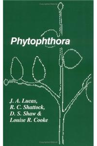 Phytophthora