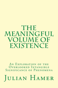 The Meaningful Volume of Existence