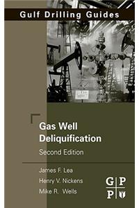 Gas Well Deliquification