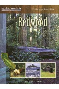 Redwood